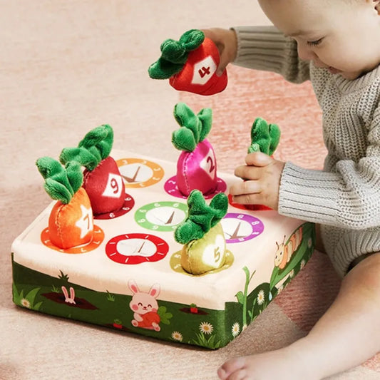 Baby Educational Toys 